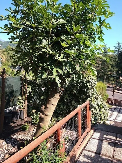 Loft Sotto Il Vulcano, Con Posto Auto Privato Zafferana Etnea Italy